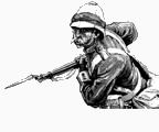 The Daily Bayonet