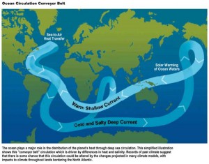 ocean-belt busted belt