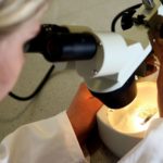 Blood cancers patients could be treated with Low-cost arthritis drug Blood cancers patients could be treated with Low-cost arthritis drug
