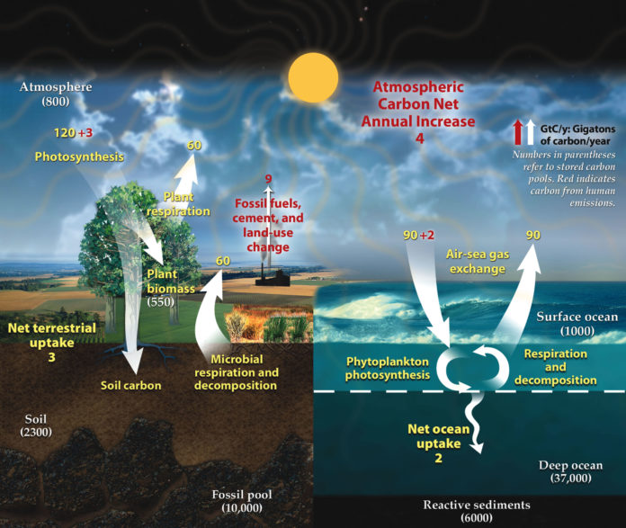 Where did Earth's store its carbon?