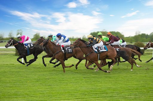 learned from St Leger Stakes