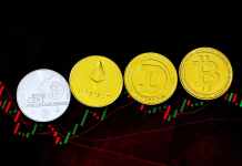 How to invest in cryptocurrency: A quick guide for beginners cryptocurrency
