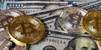 Track and Manage Your Investment: A Guide for Crypto Investors Crypto Investors