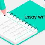essay writing help