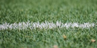 grass